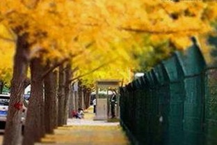 娱乐圈变迁:从争议到事实的逐步揭露