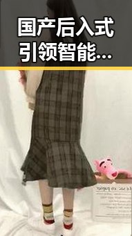 国产后入式引领智能生活新趋势