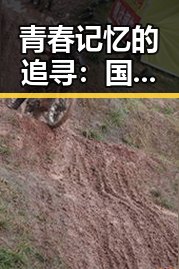 青春记忆的追寻：国产青春影片引发热议